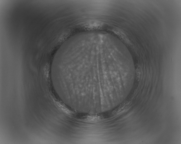 X0000073410458200608181059