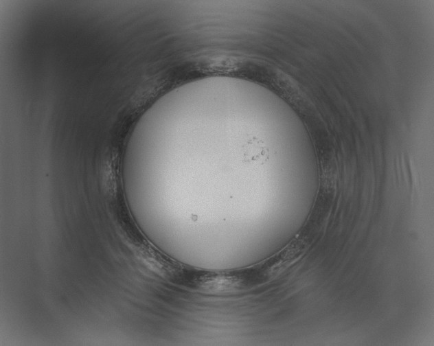 X0000073410460200608181059