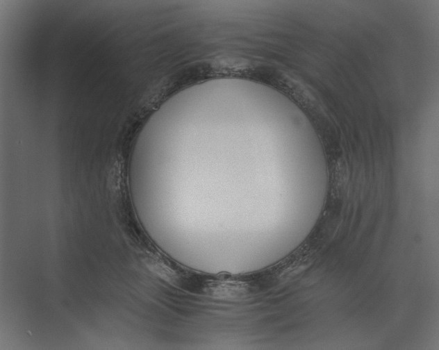 X0000073410463200608181100