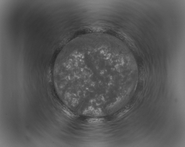 X0000073410465200608181100