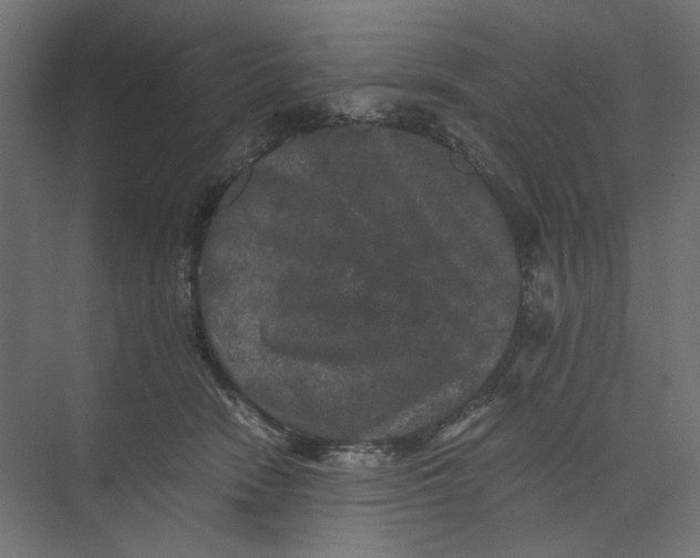 X0000073410466200608181100