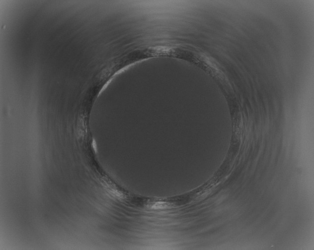 X0000073410467200608181100