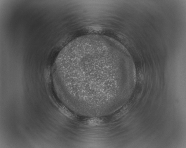 X0000073410468200608181100