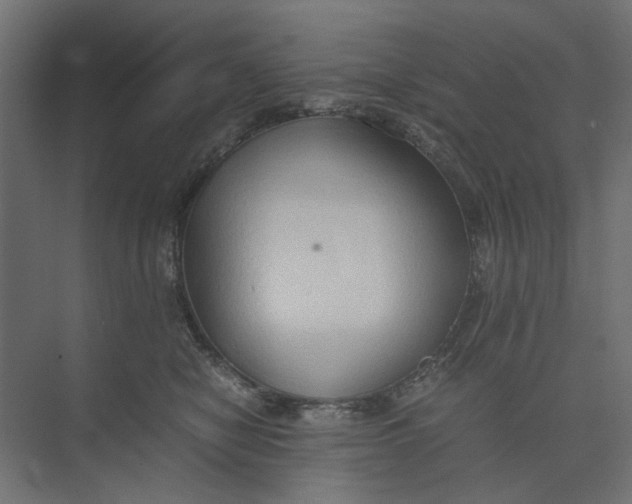 X0000073410470200608181100