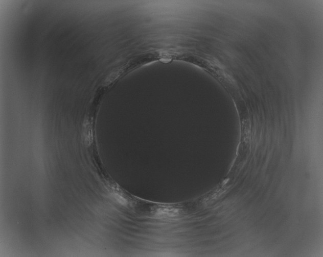 X0000073410471200608181100