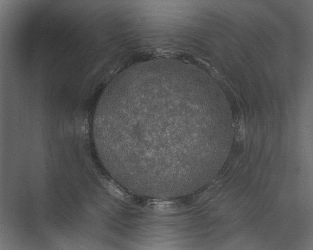 X0000073410472200608181100