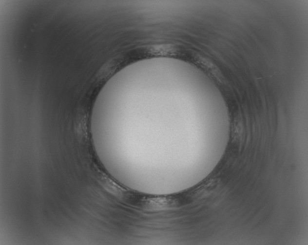 X0000073410473200608181100