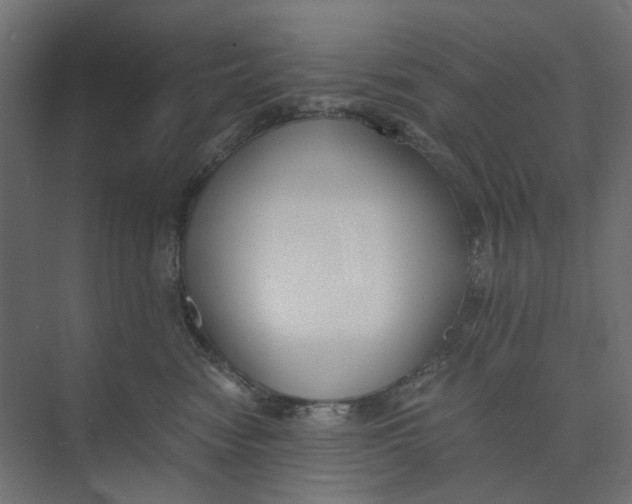 X0000073410474200608181100