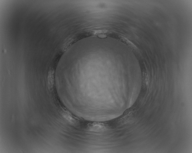 X0000073410475200608181100