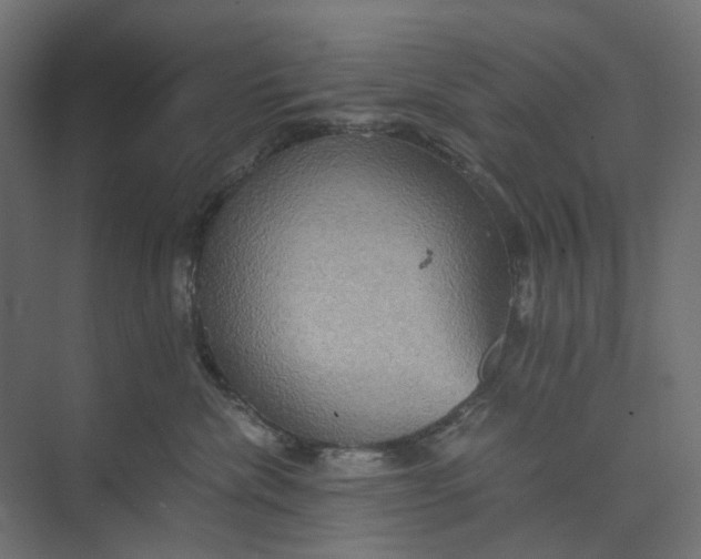 X0000073410476200608181100