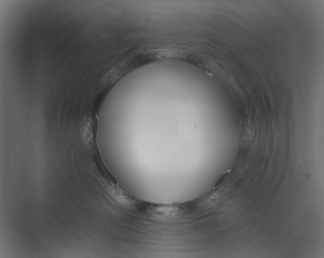 X0000073410478200608181100