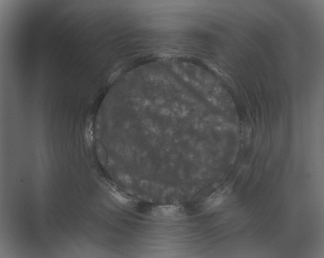 X0000073410479200608181100