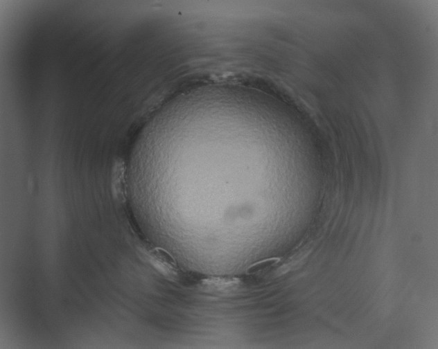 X0000073410480200608181100