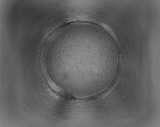 X0000073410481200608181059