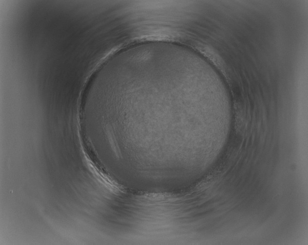 X0000073410482200608181059