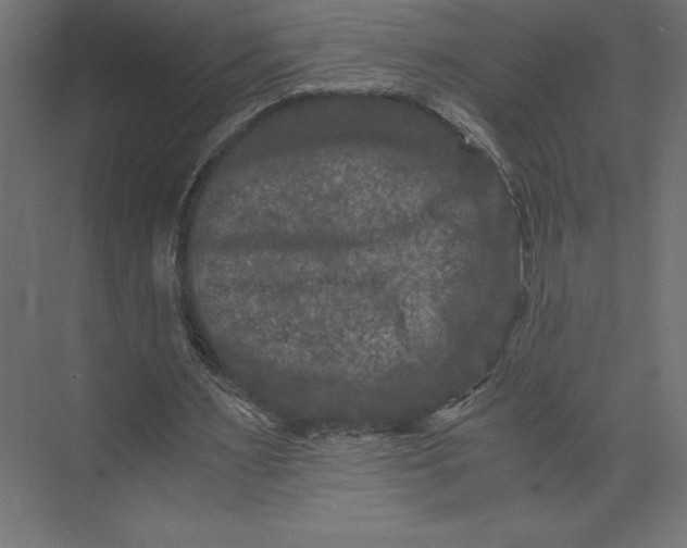 X0000073410483200608181059