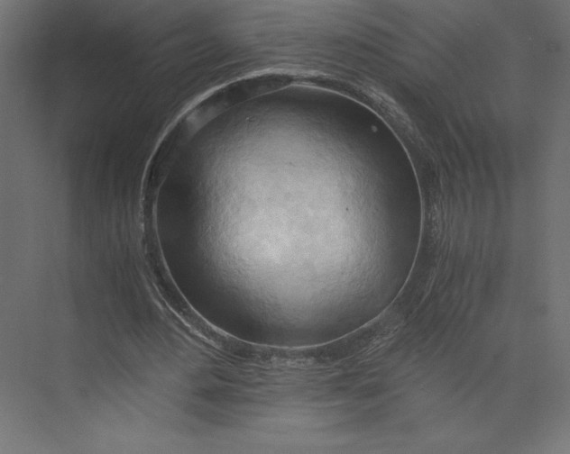 X0000073410484200608181059