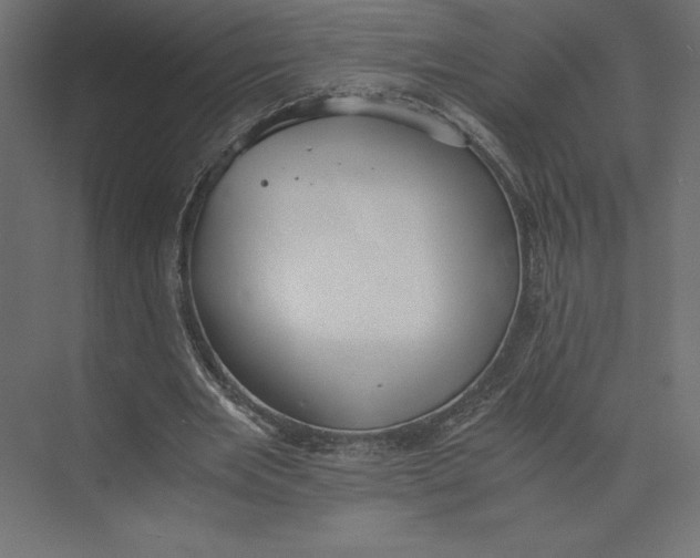 X0000073410485200608181059