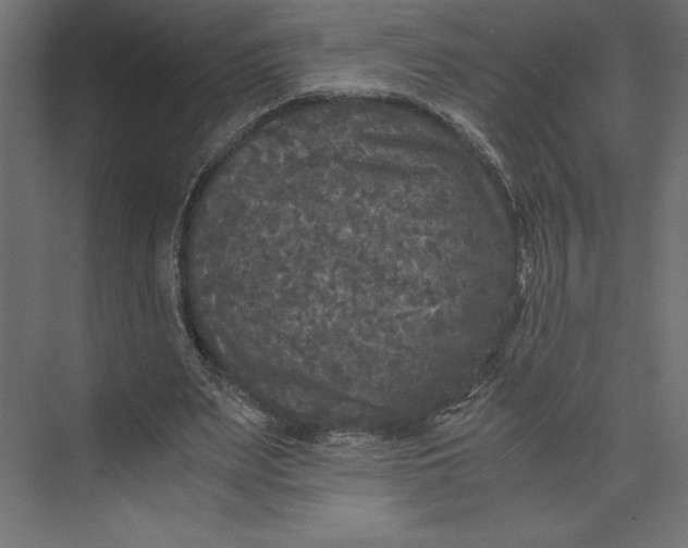 X0000073410487200608181059