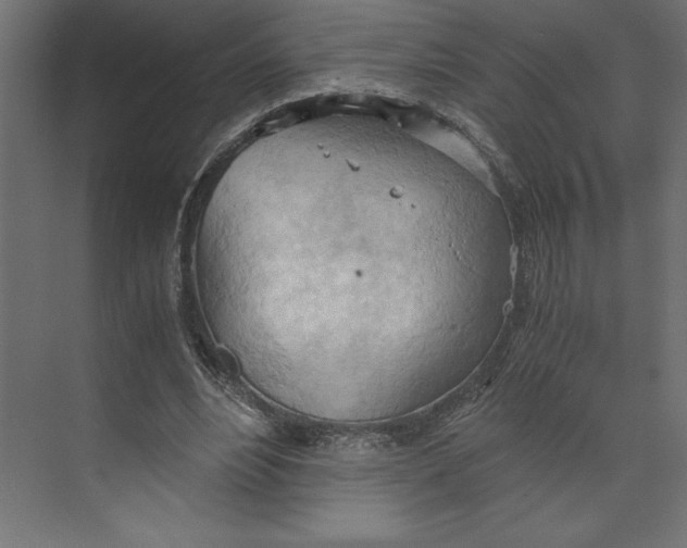 X0000073410488200608181059