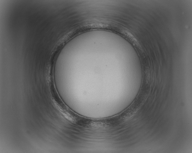 X0000073410490200608181059