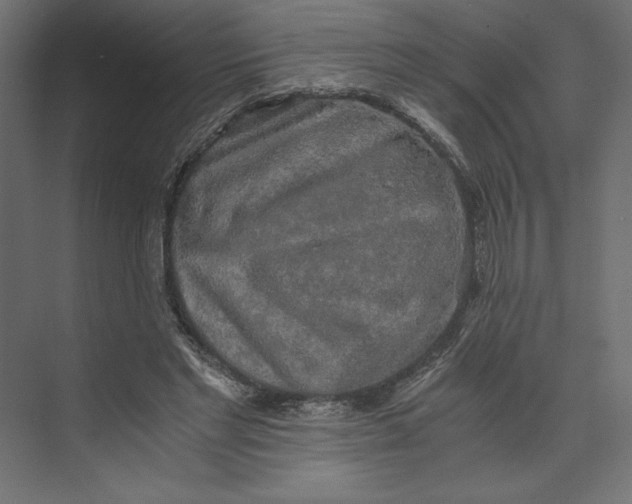 X0000073410493200608181059