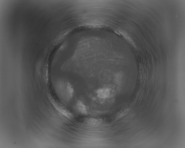 X0000073410494200608181059