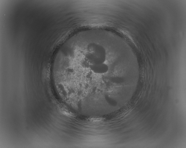 X0000073410495200608181059