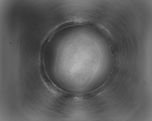 X0000073410496200608181059