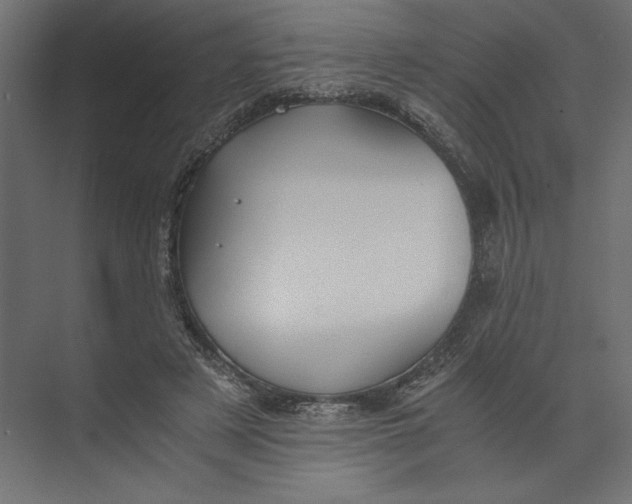 X0000073410497200608181059