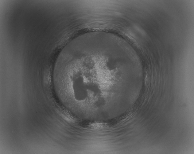 X0000073410499200608181059