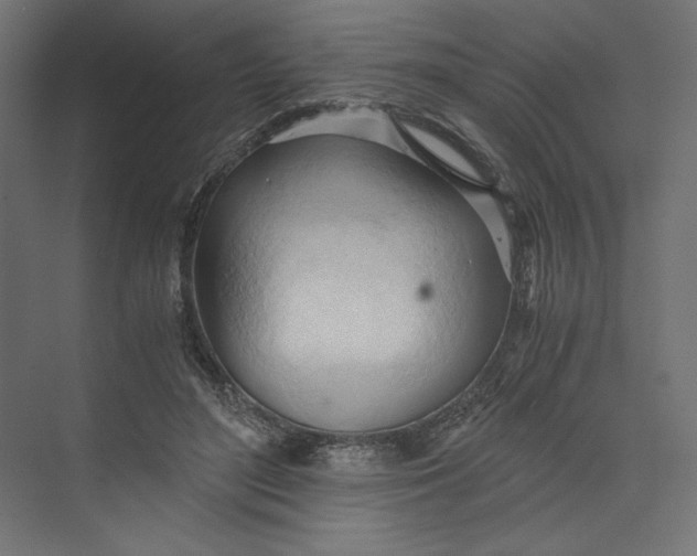 X0000073410500200608181059