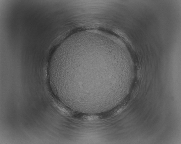 X0000073410501200608181059