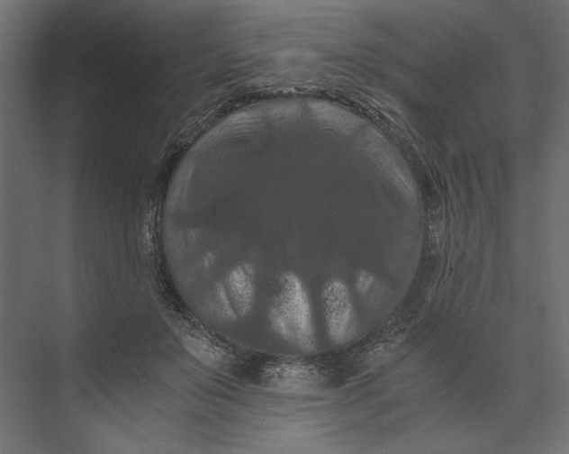 X0000073410503200608181059