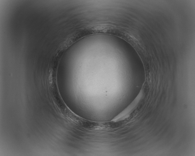 X0000073410504200608181059