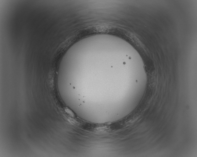 X0000073410505200608181059