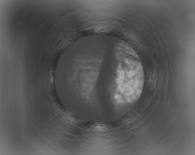 X0000073410506200608181059