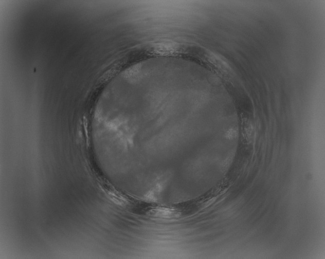 X0000073410507200608181059