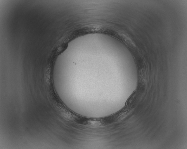 X0000073410509200608181059