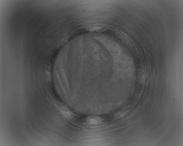 X0000073410510200608181059