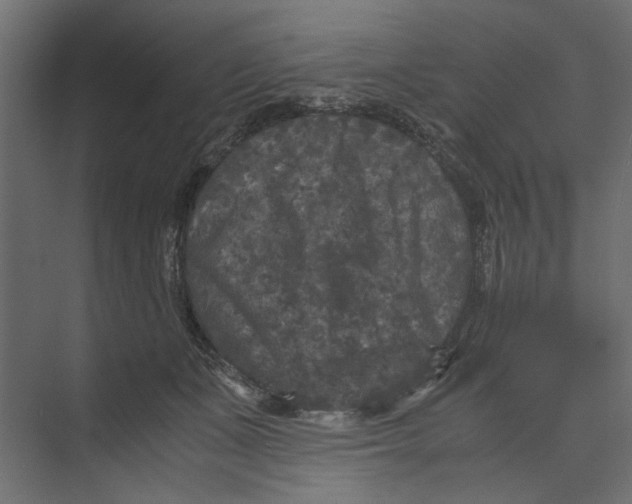 X0000073410511200608181058