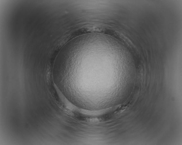 X0000073410513200608181058