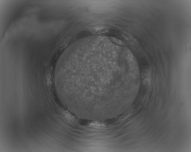 X0000073410515200608181058