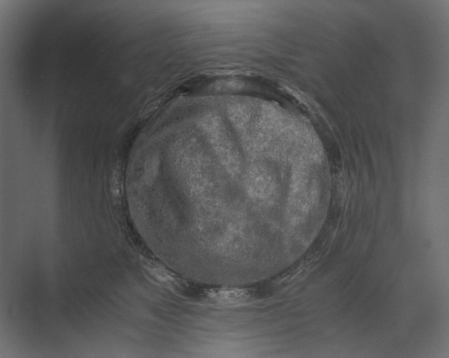 X0000073410517200608181058