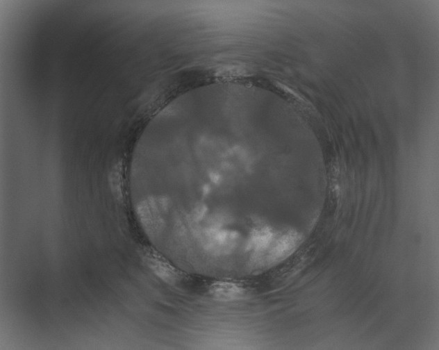 X0000073410519200608181058