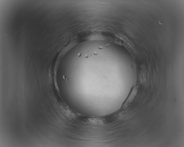 X0000073410520200608181058