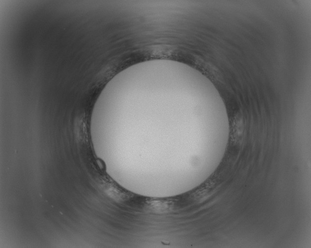 X0000073410522200608181058