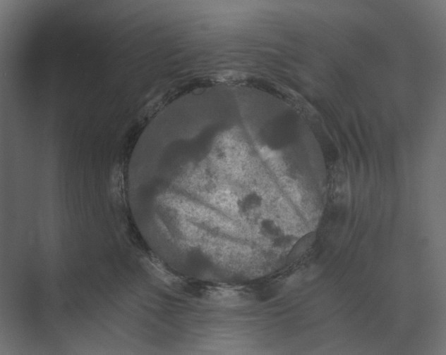 X0000073410523200608181058