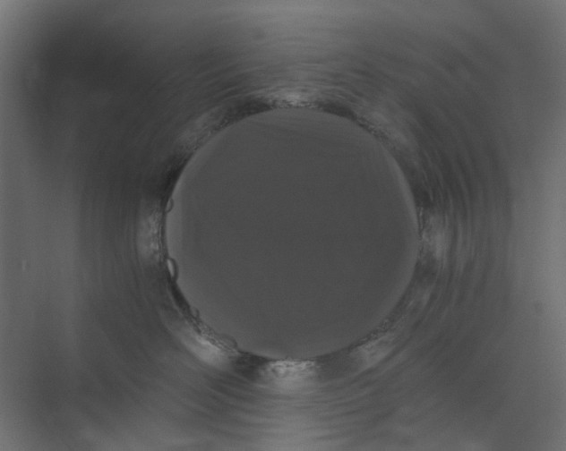 X0000073410526200608181058