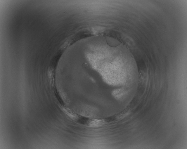 X0000073410527200608181058